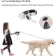 thumbnail image 4 of Walk Your Dog in Style with This Retractable Pet Leash with Garbage Box - Perfect for All Sizes!, 4 of 5