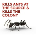 thumbnail image 2 of Insecticide Raid Appâts à fourmis Double action, tue la reine et la colonie, à l’épreuve des enfants, 4 unités, 2 of 8