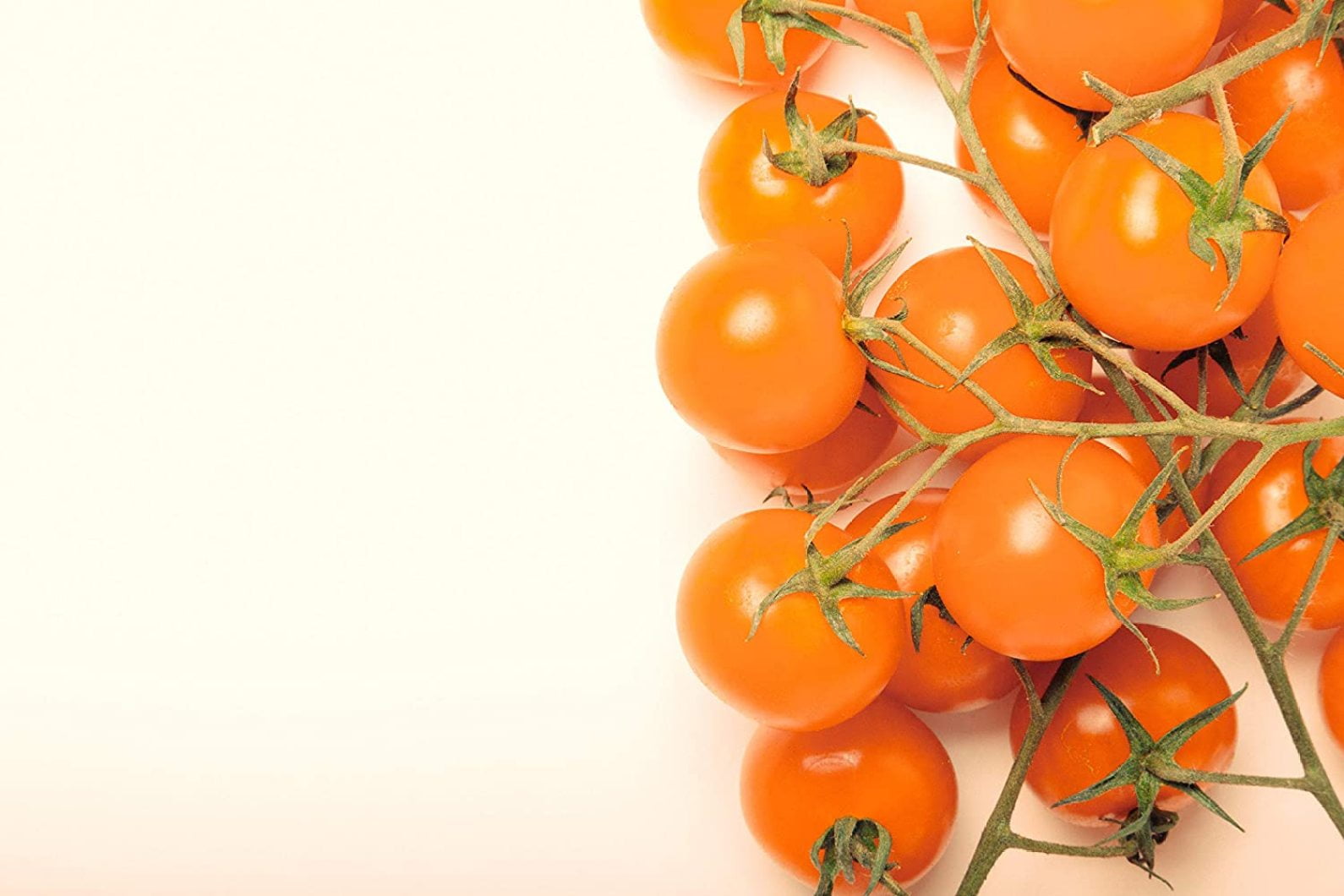 Sunsugar Hybrid Tomato Seeds