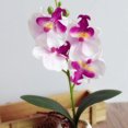 thumbnail image 1 of CAROOTU Simulation Flowers Fancy Four Butterfly Orchid Meaty Plant Bonsai Flower, 1 of 4