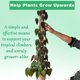 thumbnail image 3 of Paquete de 8 postes de musgo LANNMXG de 43 cm para plantas Monstera Pothos, 3 of 5