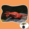 thumbnail image 4 of Juguetes de cangrejo RC Hugo Verde, 4 of 10