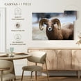 thumbnail image 5 of Elephant Stock Bighorn Sheep Wall Art - Horizontal Canvas Wall Art - Living Room Wall Decor - Animal Canvas - Brown And White Decor - 12" x 8", 5 of 8