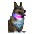 thumbnail image 1 of Collar Para Perro Con Luz Led Recargable, Color Negro, 1 of 8