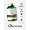 thumbnail image 5 of Irish Sea Moss 2250mg | 150 Capsules | Complex Formula | by Carlyle, 5 of 7