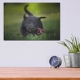 thumbnail image 4 of Luxe Metal Art 'Black Lab Pup 11' by Jonathan Ross, Metal Wall Art, 16"x12", 4 of 9