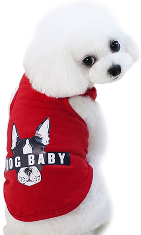 Medium Designer Sleep & Play Dog 1Pcs Pet Dog T-Shirts Comfy Cotton Tee Shirt Clothes for Small Dogs S,Green 