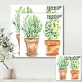 thumbnail image 4 of Designart ' Two Green House Plants In Orange Cly Pots ' Traditional Canvas Wall Art Print, 4 of 4
