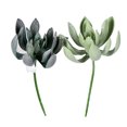 thumbnail image 1 of Vickerman VICK-FV192508 Vickerman 8" Green Echeveria Spray 4/Pk - FV192508, 1 of 3