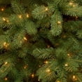 thumbnail image 3 of National Tree Company 7.5 ft. Lakewood Spruce Tree with Dual Color® LED Lights, 3 of 6