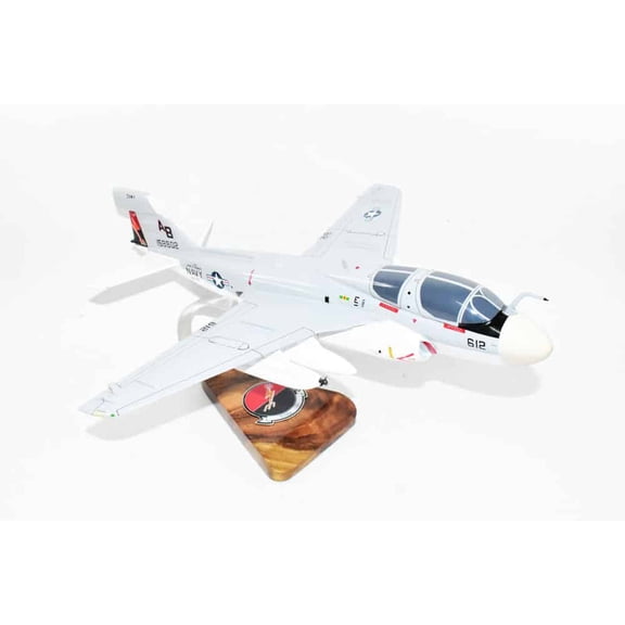 VAQ-133 Wizards EA-6b Model