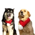 thumbnail image 3 of Bufanda de punto roja acogedora Methold para perros y gatos Navidad, 3 of 6