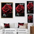 thumbnail image 4 of Designart "Red Black Rose gracefulness I" Floral Canvas Wall Art, 4 of 5