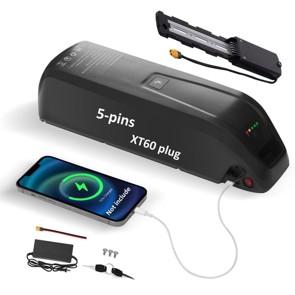 48v 10ah Ebike Battery 5-Pins Mount 1000W 48v Lithium Ion Battery for Electric Bike