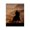 Cowboy Sunset Ride, variant on Stupell Industries Rustic Lodge Subdued Desert Cacti Canvas Art, 16 x 20, by Kim Allen