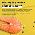 thumbnail image 5 of Healthy Pup Wild Alaskan Salmon Oil Formula for Dogs and Cats Omega 3 Fish Oil, Skin and Coat Supplement 8oz., 5 of 10