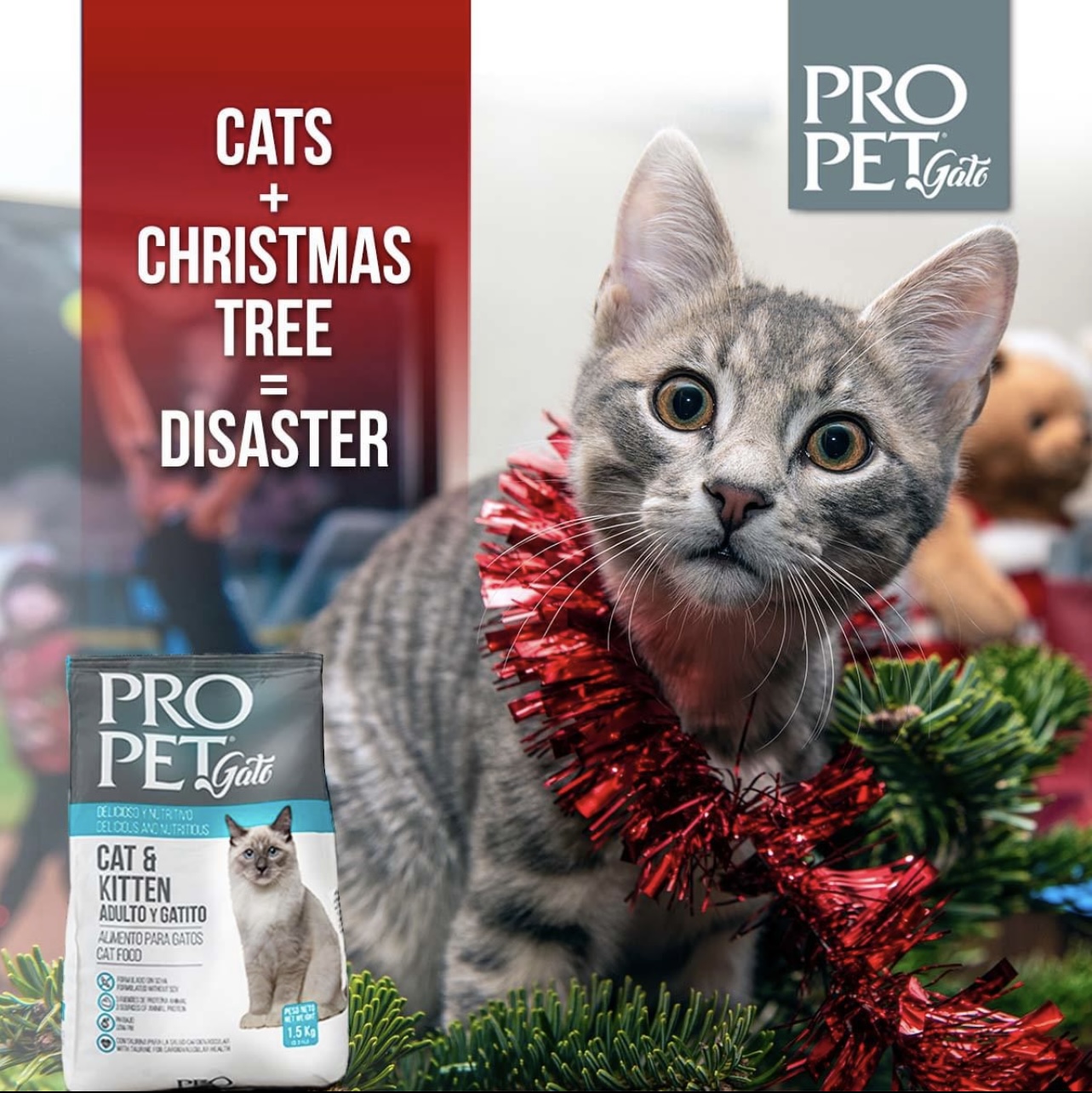 Pro-Pet Dry Cat Food Mix Flavors Plastic Bag Cat Food 17.6lbs Animal Food