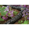 thumbnail image 4 of Orbit Irrigation Black Drip Soaker Tubing - Drip Irrigation Systems 1/4" x 50ft., 4 of 5