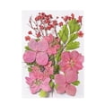 thumbnail image 3 of Colorful Natural Dried Flowers and Embossed Decorative Set, 3 of 5