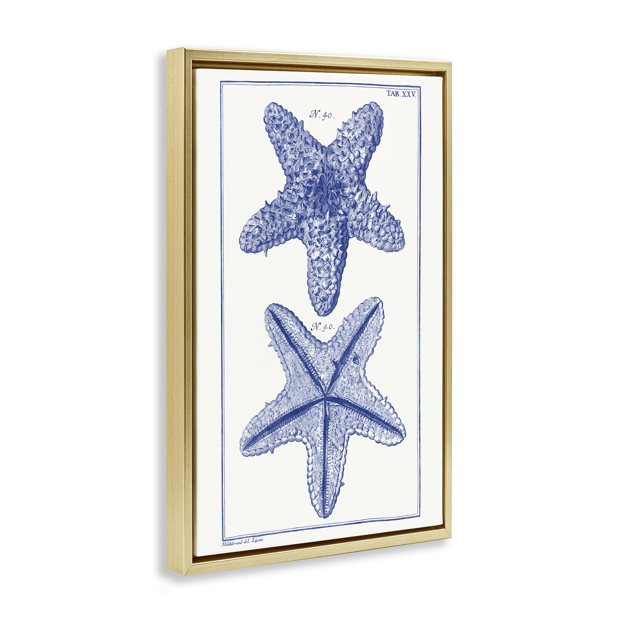 Stupell Industries Blue Starfish Studies Animals & Insects Painting Gold Floater Framed Canvas Art Print Wall Art, 17 x 25