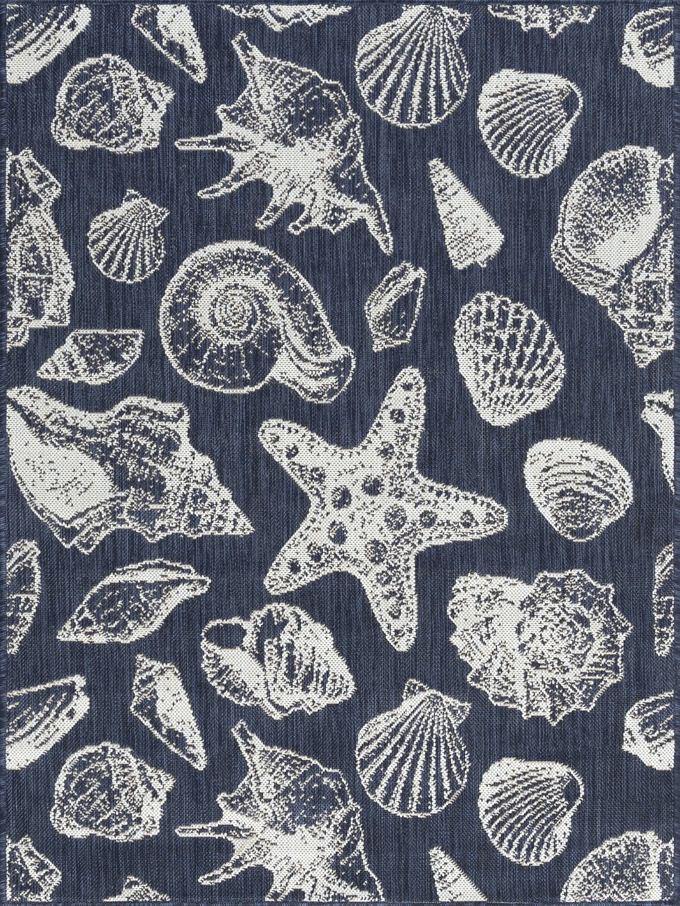 4x6 Water Resistant, Indoor Outdoor Rugs for Patios, Front Door Entry, Entryway, Deck, Porch, Balcony | Outside Area Rug for Patio | Navy, Coastal | Size: 4' x 5'3''