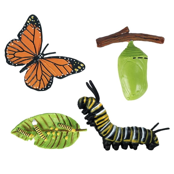 Zxpjkyu 4 Pack Life Cycle Figures of Butterfly, Plastic Realistic Animal Model Figurines