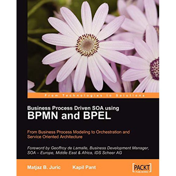 Pre-Owned Business Process Driven Soa Using Bpmn and Bpel (Paperback) 1847191460 9781847191465