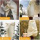 thumbnail image 4 of 2025 Plant Bell Cover Reusable, Winter Cold and Frostproof Fruit Tree Cover with Zipper Drawstring, 4 of 5