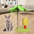 thumbnail image 3 of Árbol Gato Rascador Poste Rascador Muebles Cama Juguete Interactivo con Bola Gatos Marco de Escalada para Entrenamiento, Ejercicio, Garra SM SunniMix Poste rascador para gatos, 3 of 8