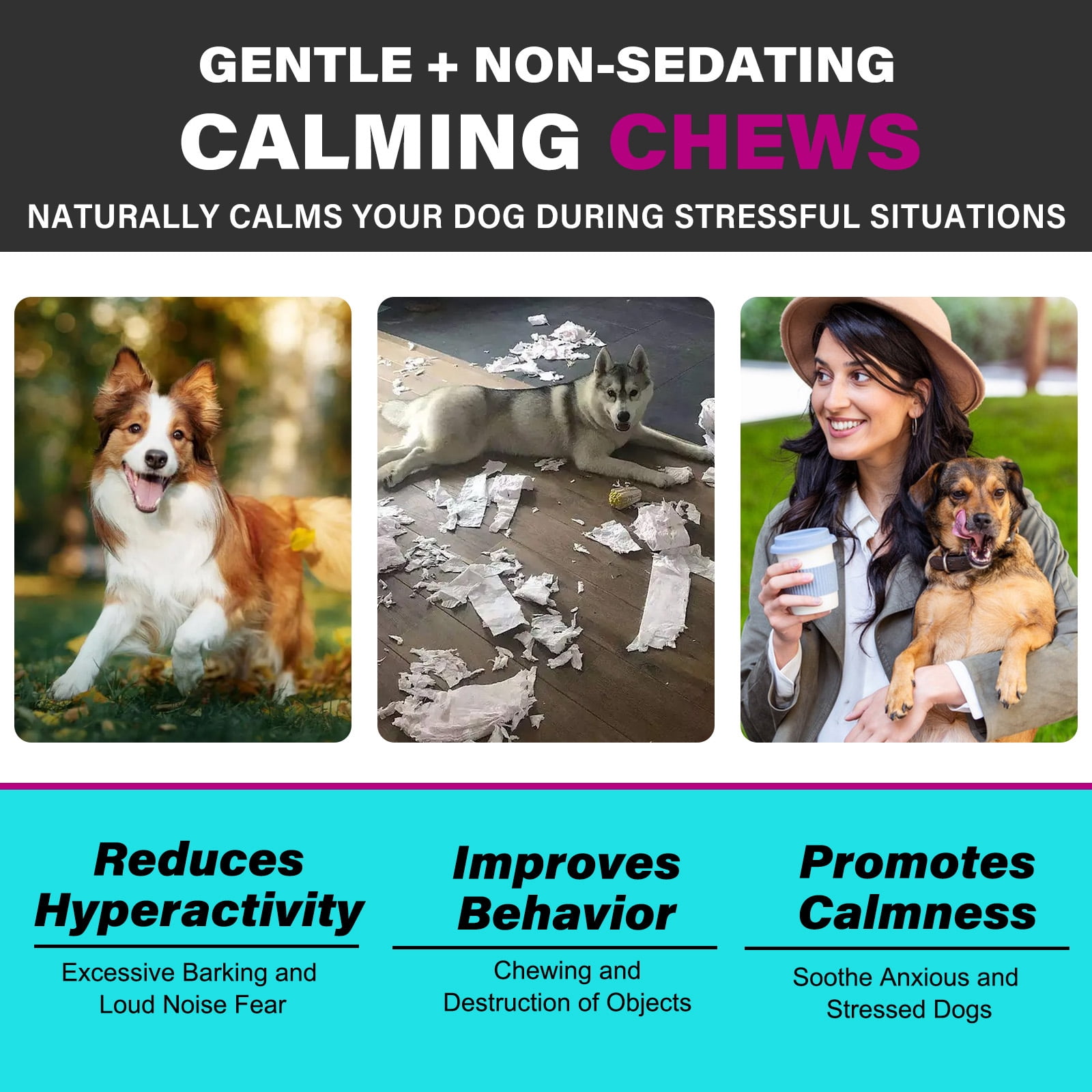 Oimmal Dog Calming Chews - 330 Chews, Beef Flavor, Anxiety Snacks for Dogs, Aid All Ages, Breeds&Size