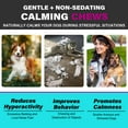 thumbnail image 6 of Oimmal Dog Calming Chews - 330 Chews, Beef Flavor, Anxiety Snacks for Dogs, Aid All Ages, Breeds&Size, 6 of 8