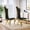 Gold & Black, variant on 2-Piece Dining Chair Set, 48"H High Back Design, Polished Stainless Steel S-Shaped Legs, Elegant Modern Style for Dining Room or Office