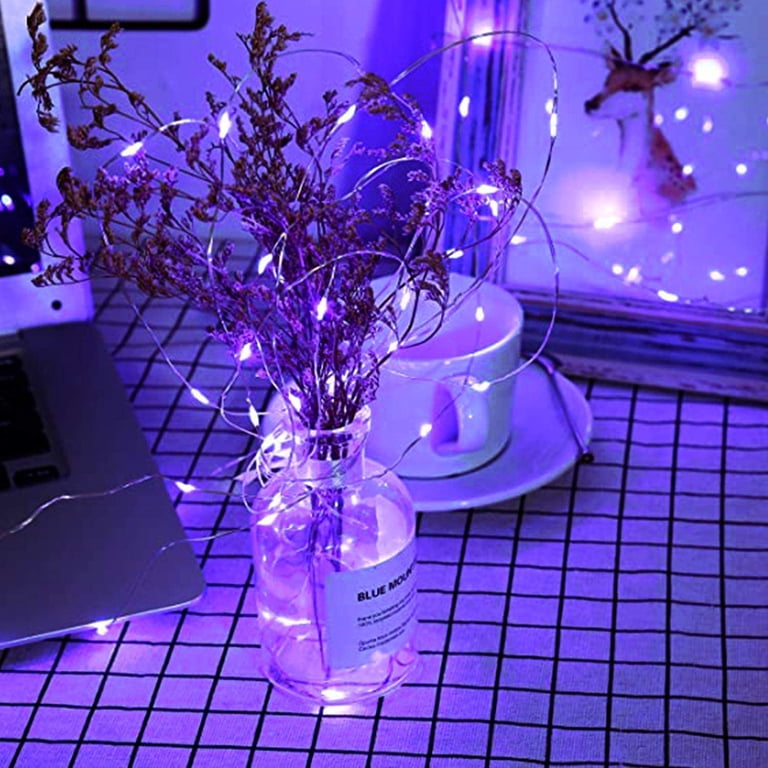 Rirool Purple LED Fairy String Lights, 2-Pack 33ft photo 3