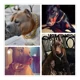 thumbnail image 4 of Aiyidi Collar De Perro Con Cadena Dorada, Gargantilla Ancha, 4 of 5