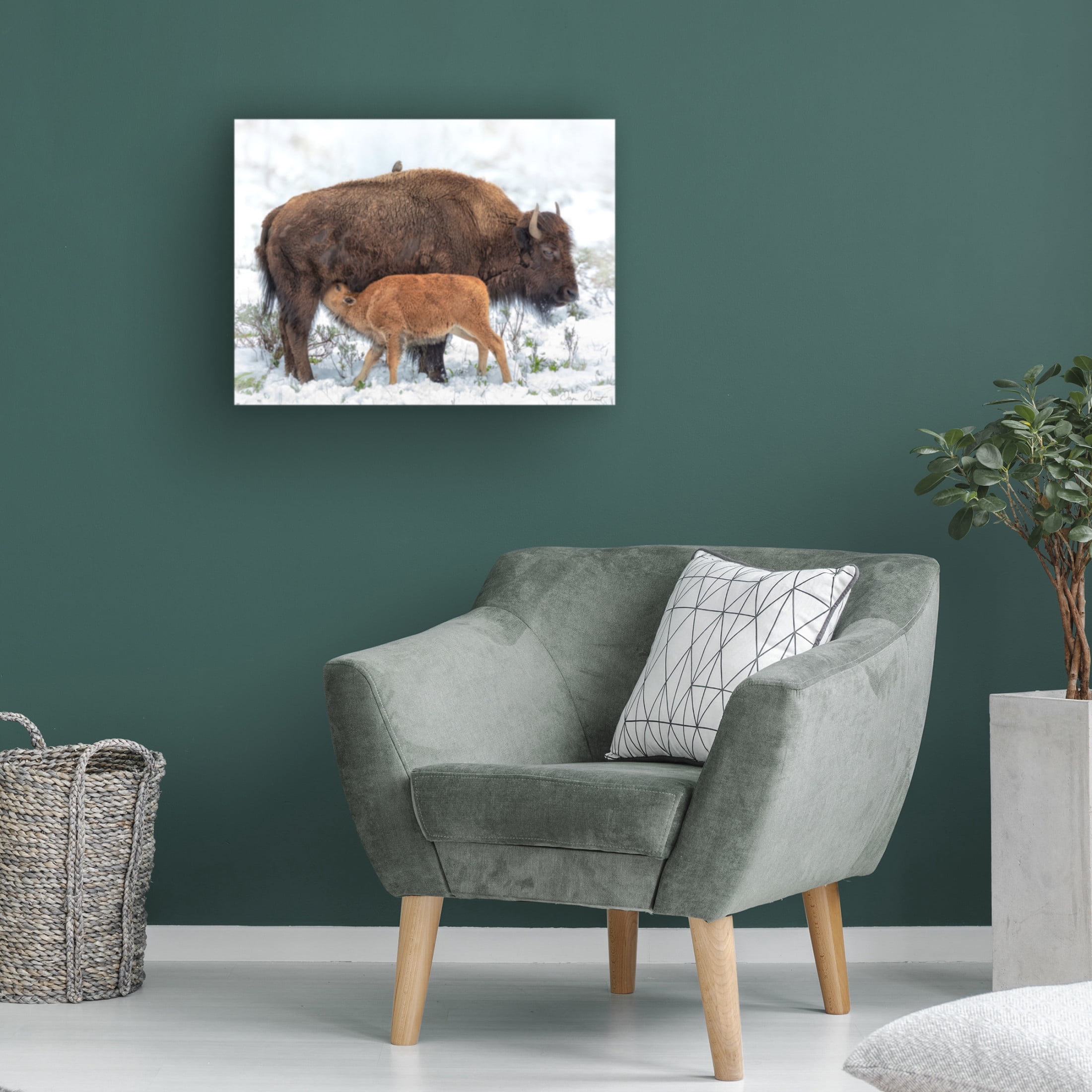 Trademark Fine Art David Drost  Mother's Milk Canvas Wall Art