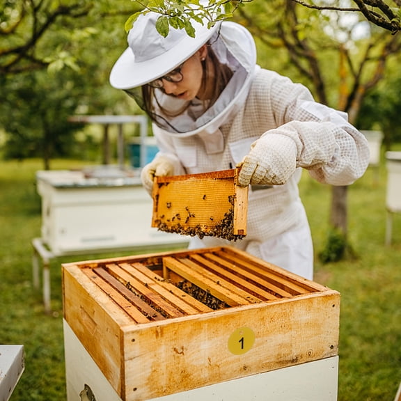 STOBOK 20Pcs Lightweight Plastic Beehive Number Signs for Apiary Use