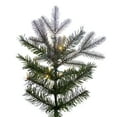 thumbnail image 2 of Vickerman 14' x 73" Frosted Douglas Fir Artificial Pre-Lit Christmas Tree, Warm White LED Mini Lights., 2 of 4