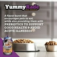 thumbnail image 2 of YummyRade Prebiotic Gravy Meal Topper for Dogs/Fussy Eaters/Dry Bland Food/Prebiotics/Low-Calorie and Fat/3 Pack (3 x 8.4 fl oz), 2 of 7