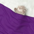 thumbnail image 2 of Disketp Purple Dog Blanket/Bed Cover for Dogs and Cats,Puppy Essentials-Large, 2 of 8
