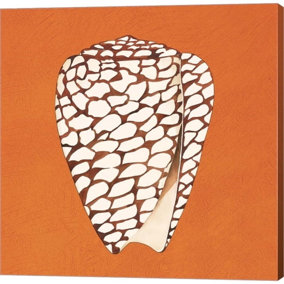 Metaverse Judy Shelby 'Cayman Quartet D' Canvas Art