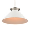 thumbnail image 4 of Elk Home 20-Inch Wide Cavendish Pendant, Transitional, Brushed Nickel, 4 of 5