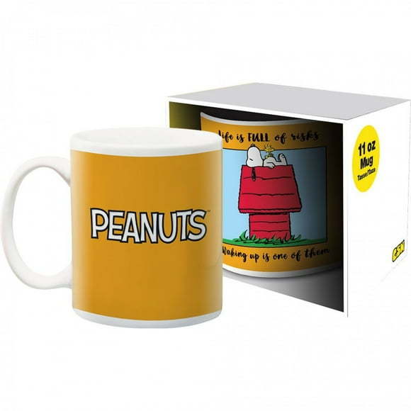 Peanuts Life is Full of Risks 11 oz Ceramic Mug