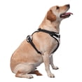 thumbnail image 2 of Lsque Red Fox Dog Harness, No-Pull Pet Harness with 2 Leash Clips, Adjustable Soft Padded Dog Vest with Easy Control Handle for Large Dogs-, 2 of 9