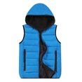 thumbnail image 2 of Chaleco de primavera y otoño para hombre, chaqueta sin mangas a la moda, cálido, con capucha, chalecos de invierno ligeros, gran oferta, chalecos de trabajo para hombre 2024, 2 of 5