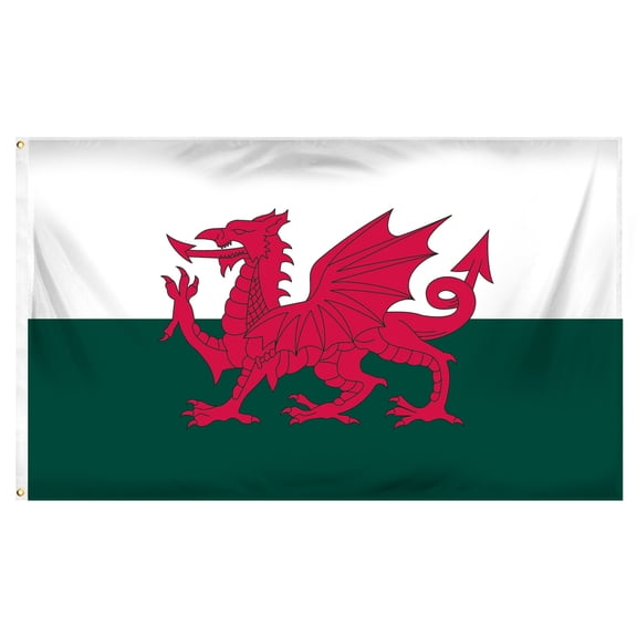 Wales 3ft x 5ft Printed Polyester Flag