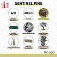 thumbnail image 4 of Árbol de Navidad Artego Nevado Sentinel Pine Slim 220 Cm con base de madera, 4 of 7