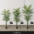 thumbnail image 3 of CAPHAUS Artificial Palm Tree, 5 / 6 / 7 Feet with 13 Trunks Faux Potted Tree for Home Office Modern Decoration, Faux Dypsis Lutescens Plant in Pot with Dried Moss, Indoor Gift for Housewarming, 3 of 9