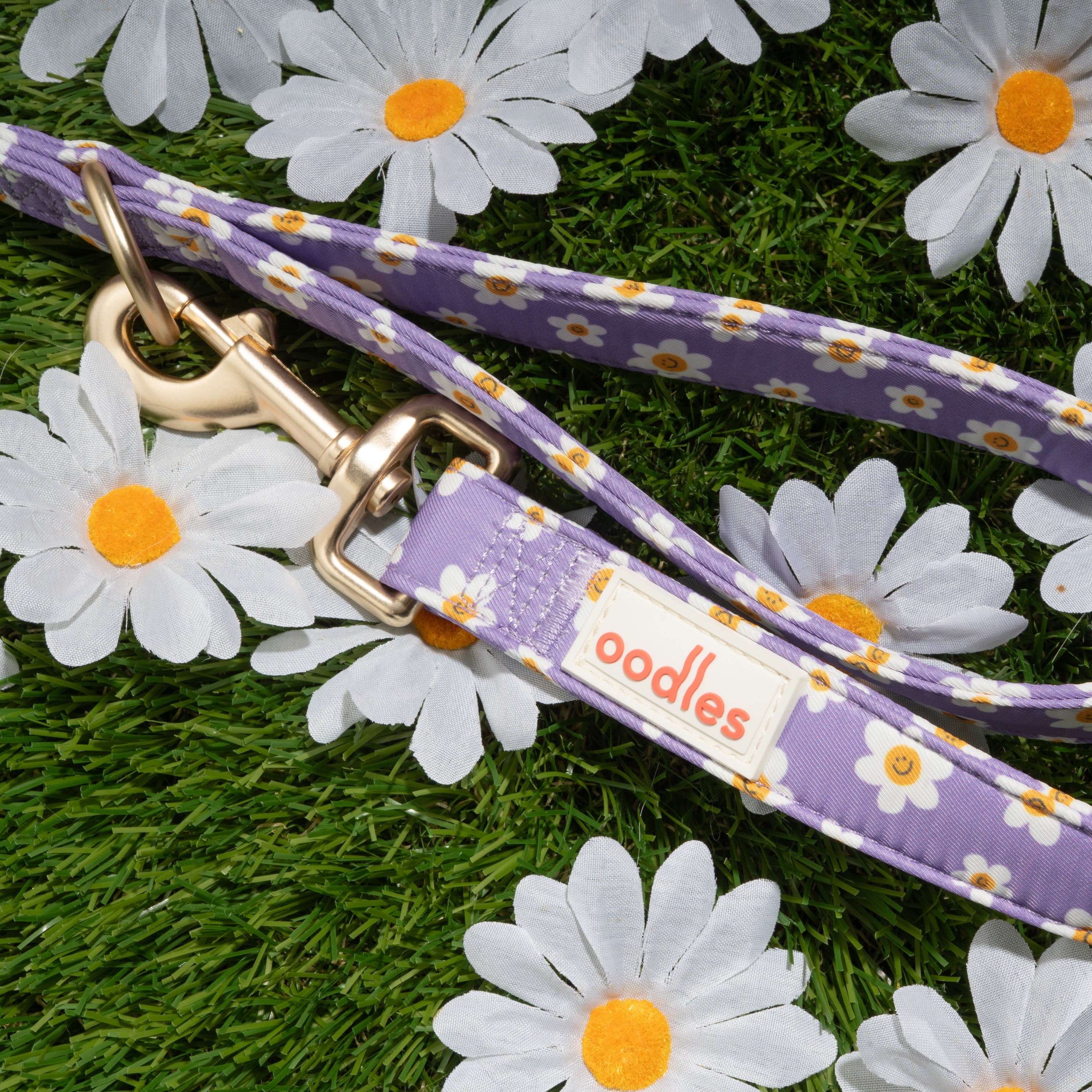 Oodles Floral Smiley Dog Walking 3 Piece Set, Medium