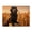 500 Pieces, variant on 1000-Piece Wooden Jigsaw Puzzle for Adults - Black Dog Cornfield Sunset , Fun & Relaxing Interlocking No-Dust Puzzle for Family, Home Decor & Holiday Gifts