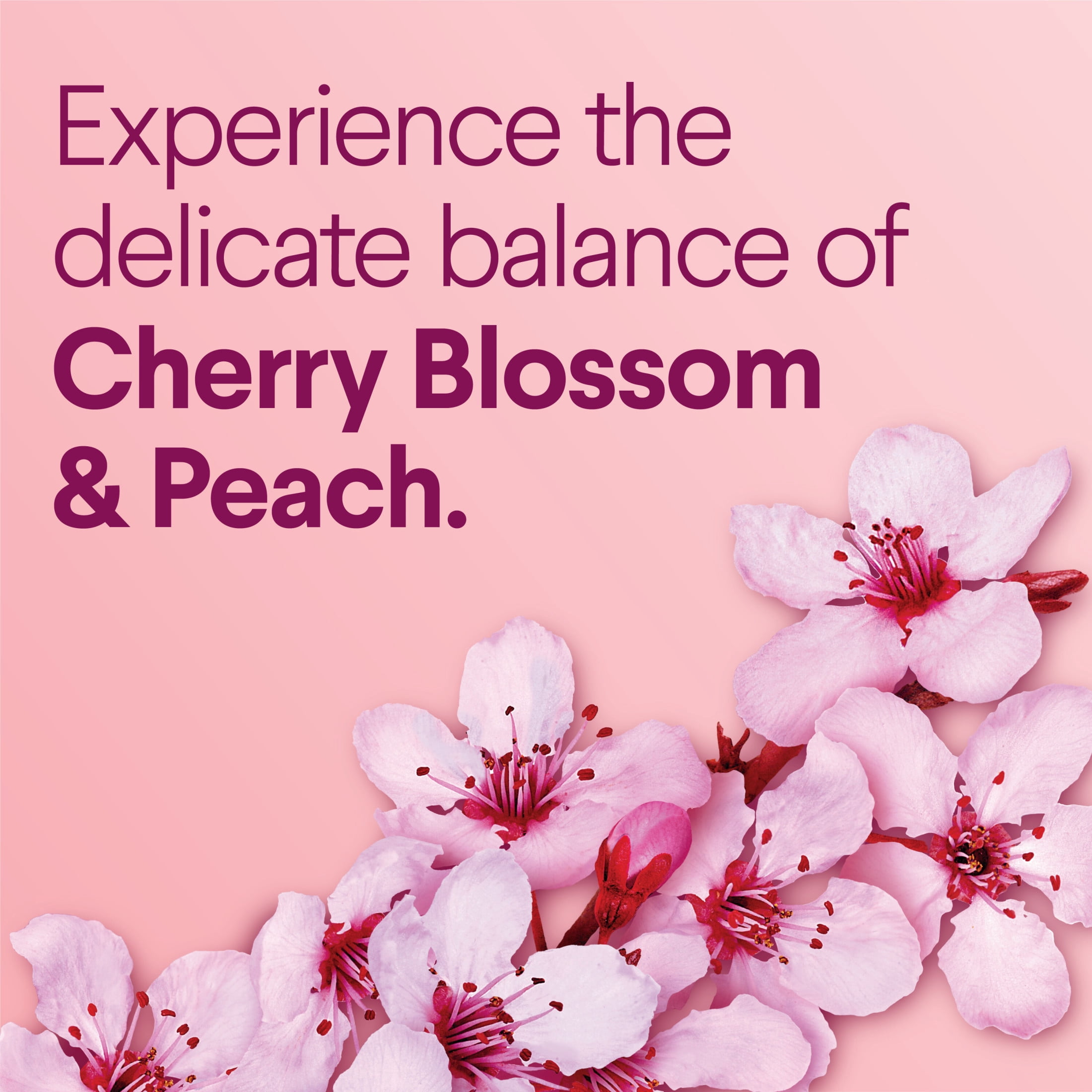 Clorox Scentiva ToiletWand Refills, Cherry Blossom and Peach, 10 Count